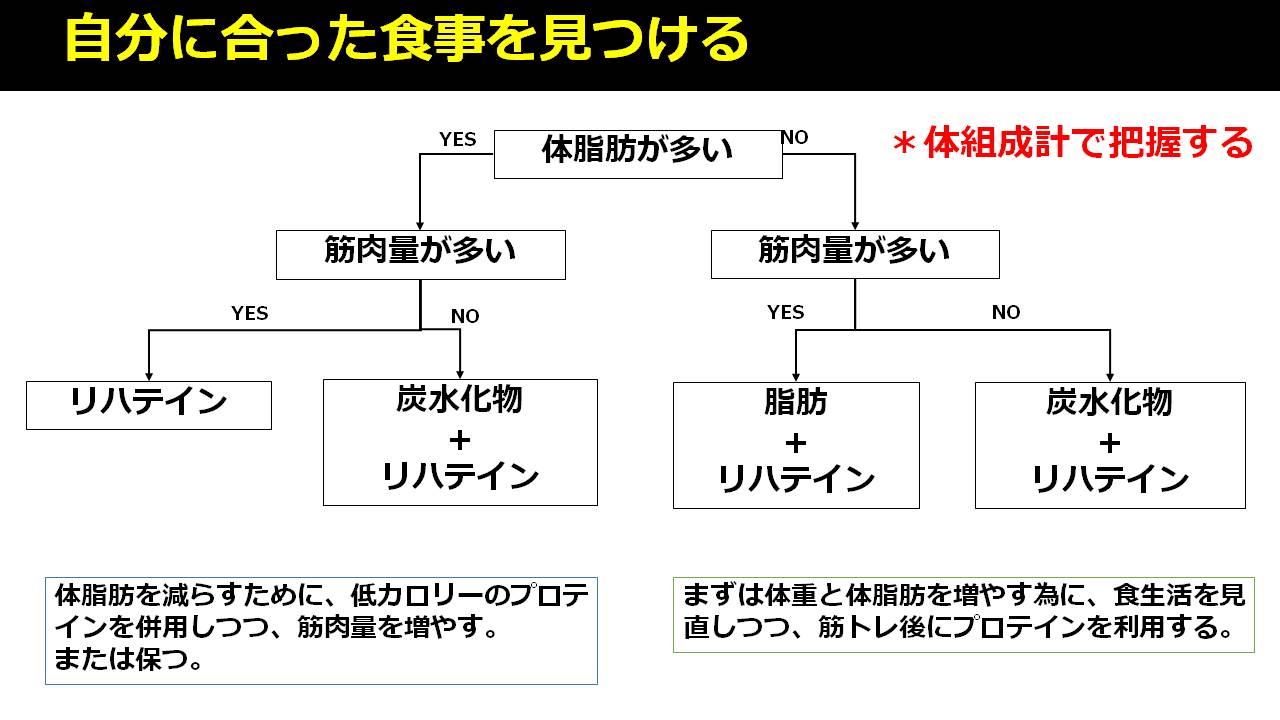 女性アスリートのプロテイン活用術 リハテイン Whey Protein